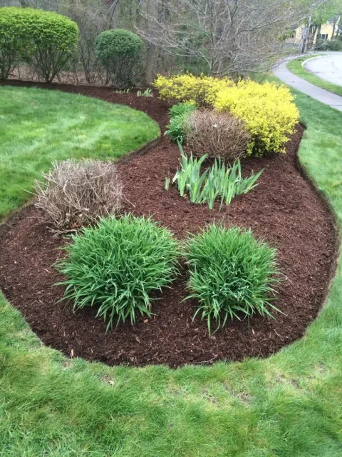 J. Mather Landscaping work photo