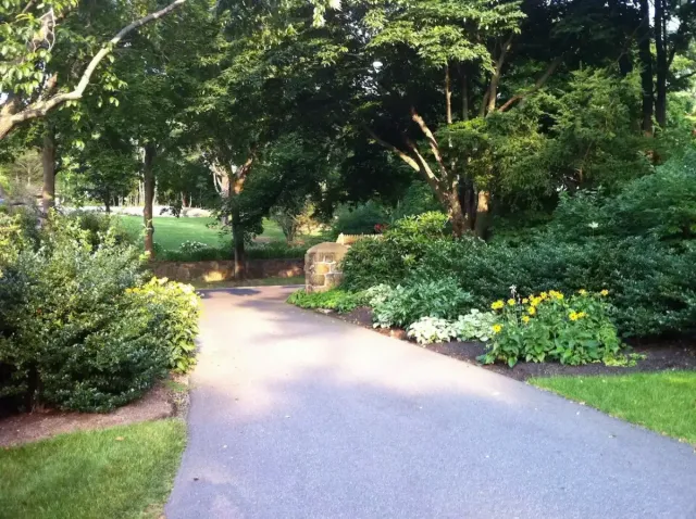 Asphalt driveway installation in Marblehead MA featuring curved design and professional landscape planting.