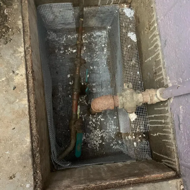 Pest Champions LLC work photo