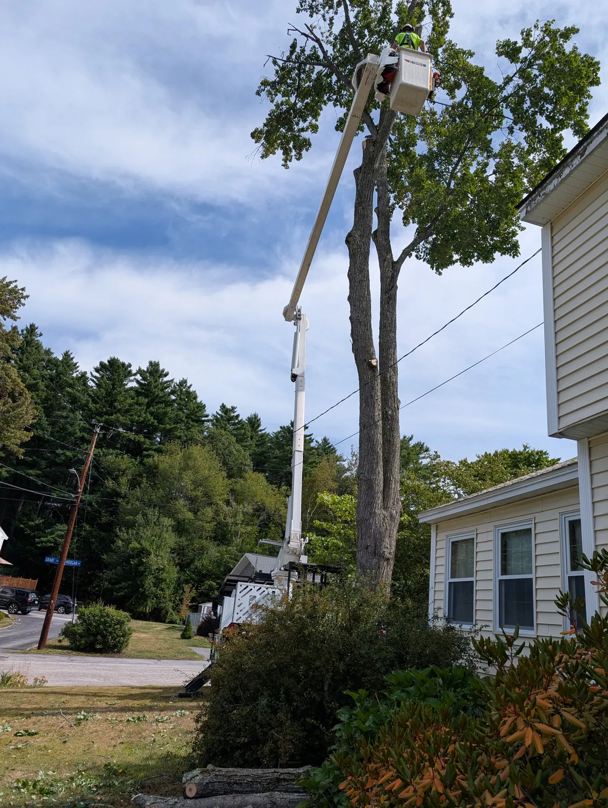 work photo from Google listing