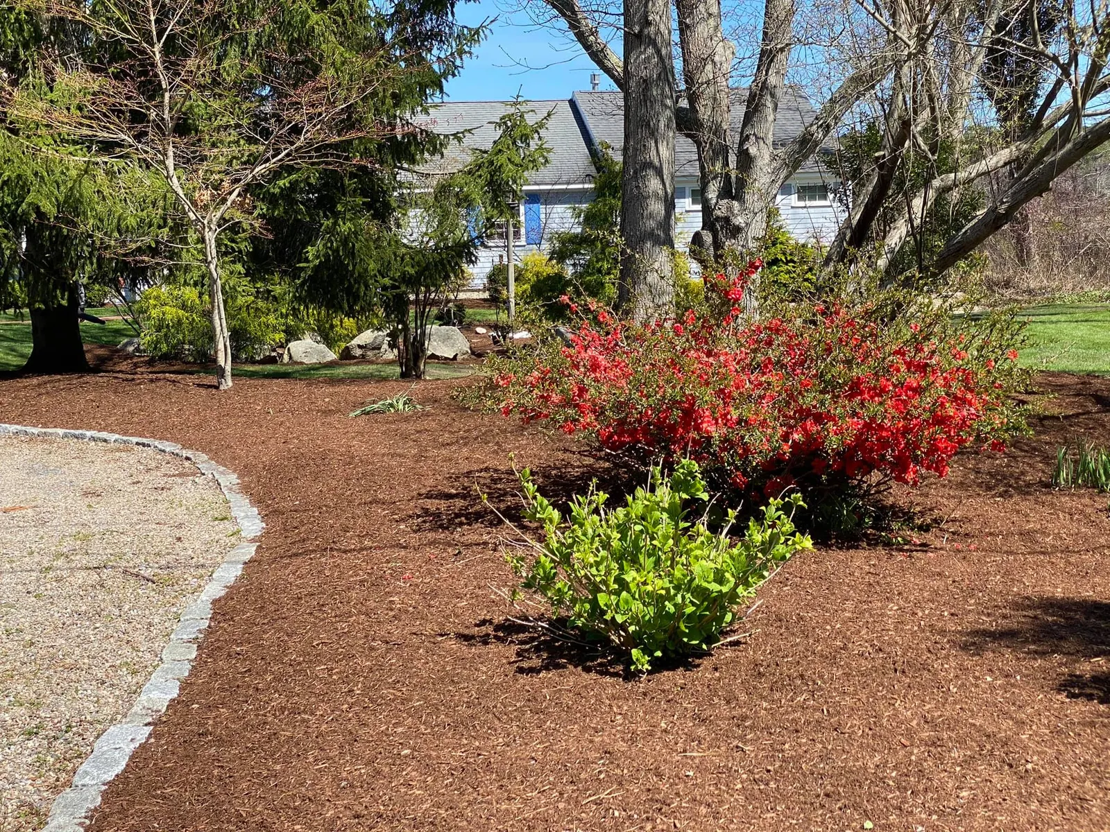 work photo from cactusflowerlandscaping.com
