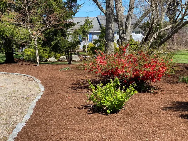 work photo from cactusflowerlandscaping.com