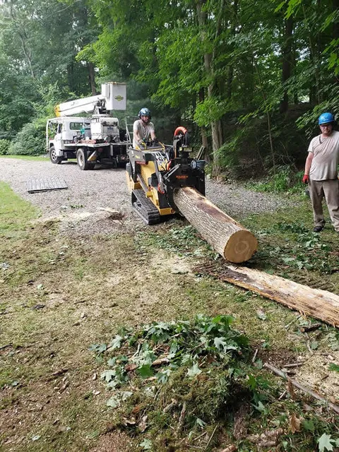 work photo from akandsontree.com