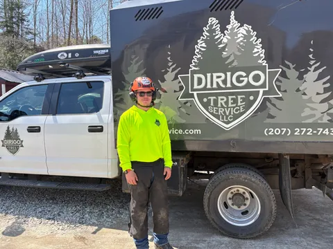 work photo from dirigotreeservice.com