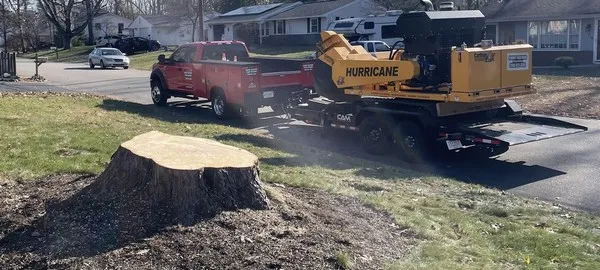 Stump Grinding Truck