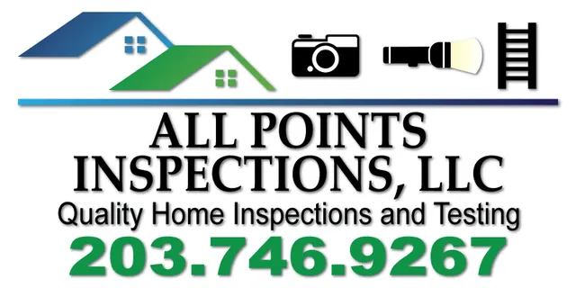 ALL POINTS INSPECTIONS logo