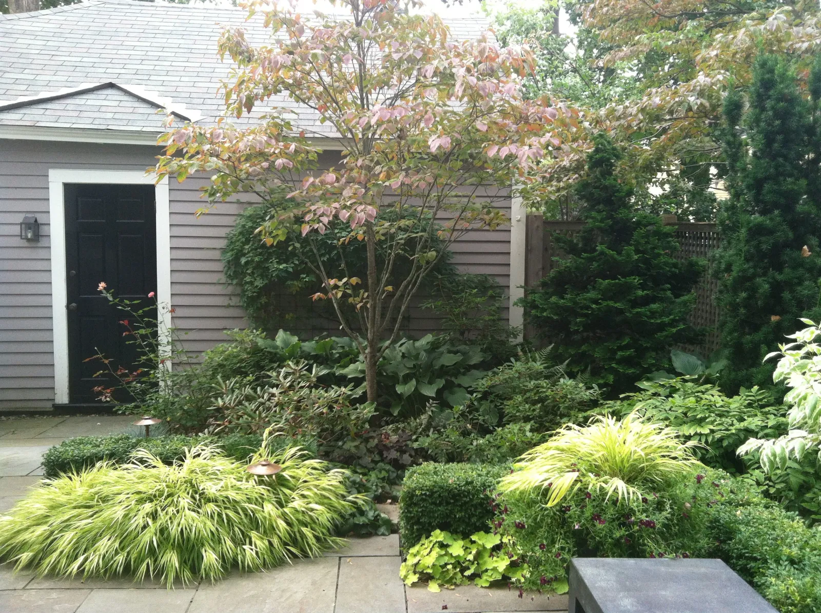 Smith Planting- Back Garden.JPG