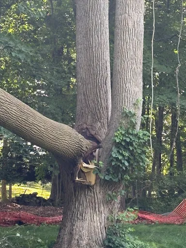 Review photo by Joseph Chelednik