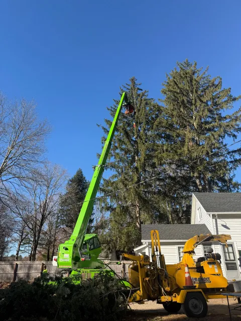 A green crane is cutting a tree in front of a house.