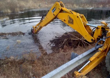 Beaver Solutions - flow management devices, beaver products, beaver problems, beaver removal, beaver control methods, beaver control devices, beaver pond leveler, how to get rid of beavers