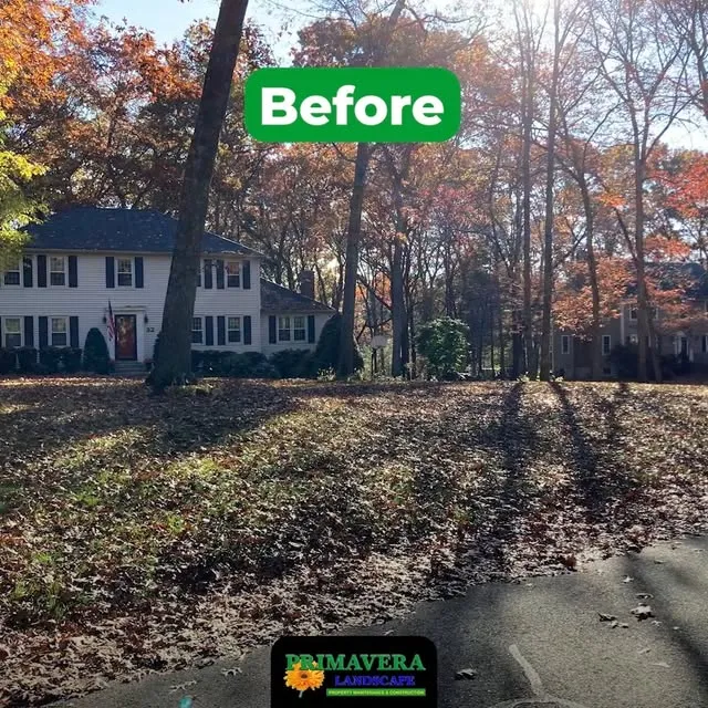 Primavera Landscaping & Construction, Inc. researched project photo