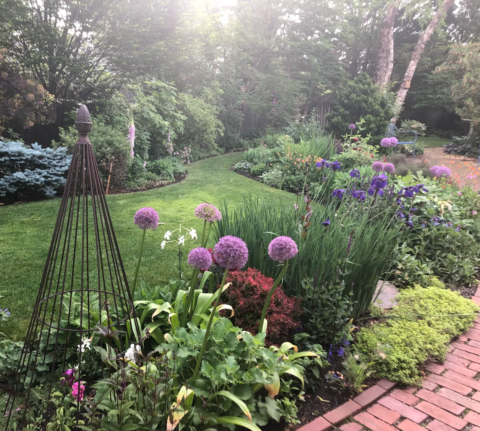 dreamy G garden 2.png