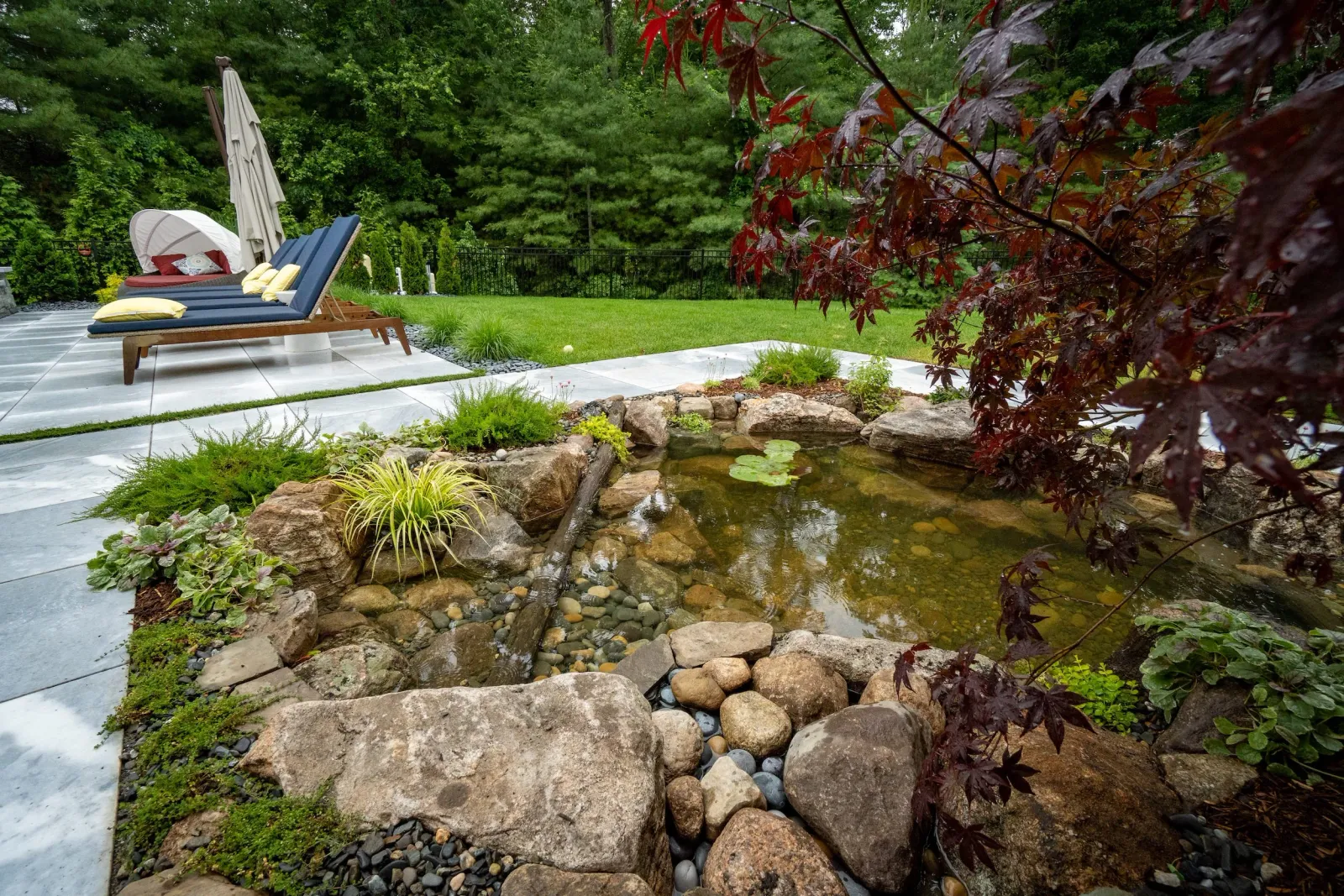 The Cozy Koi Pond