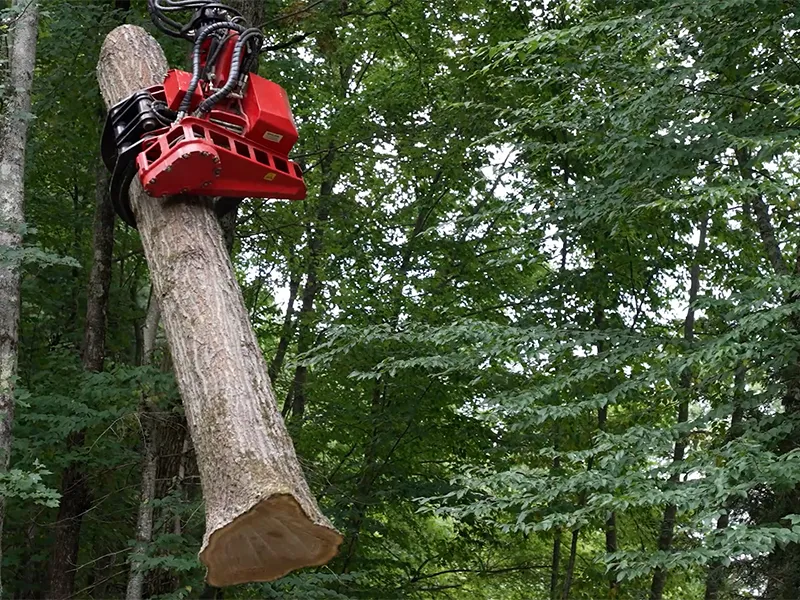 work photo from krohnkutztree.com