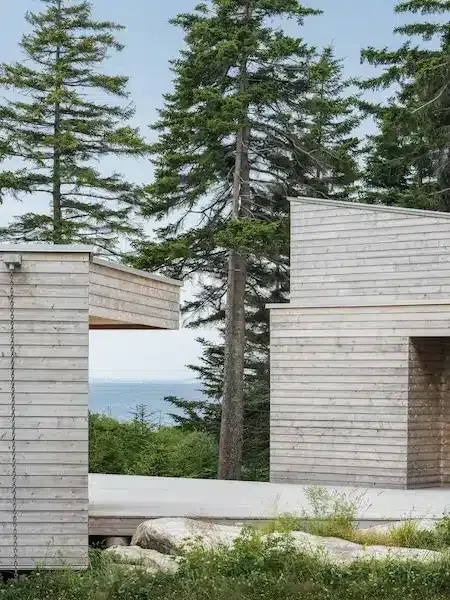 Modern light wood buildings with angular roofs, designed by a Maine architect, stand among tall pines with an ocean view in the background.