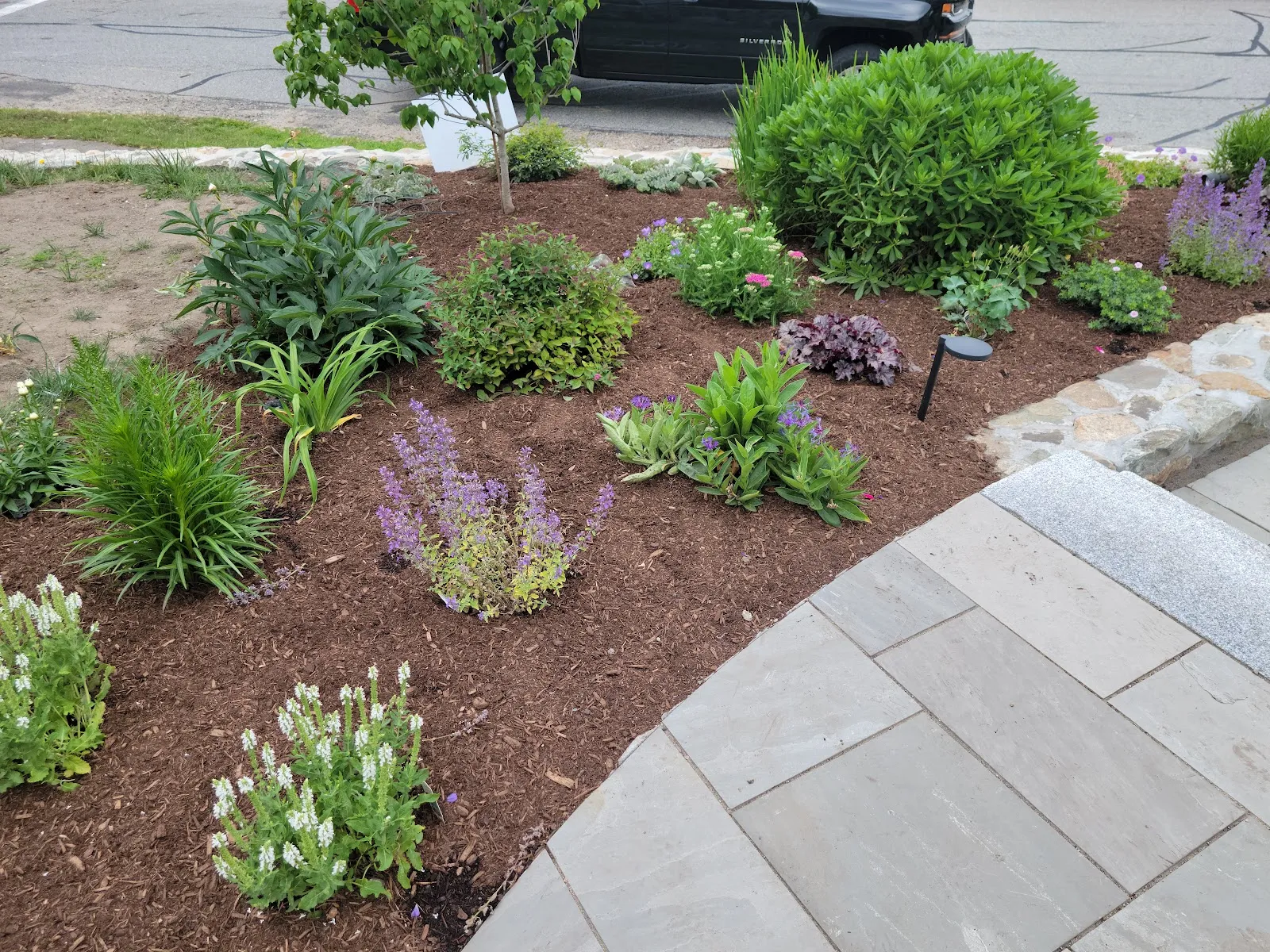 Ideal Lawn Care