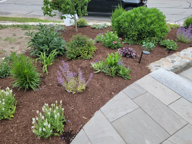 Ideal Lawn Care