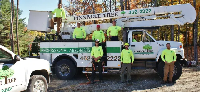 work photo from pinnacletree.com