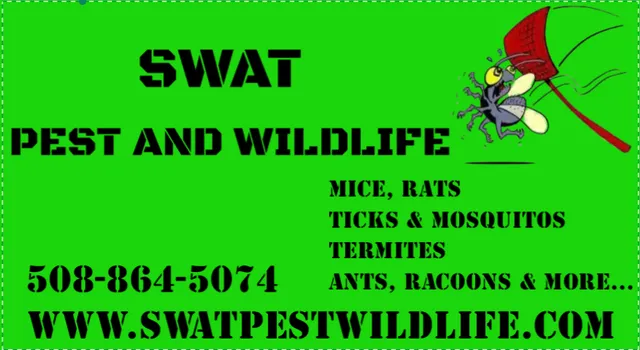 Swat Pest and Wildlife work photo