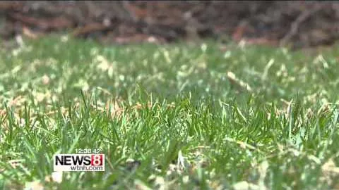 Organic Tick Control expert from GreenSprays on WTNH