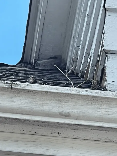 work photo from sandmpestservices.com