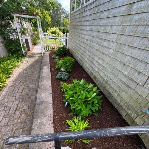 Maintenance Planting Cape Cod, Massachusetts - MA
