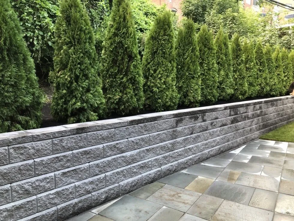 work photo from lawncareplusma.com