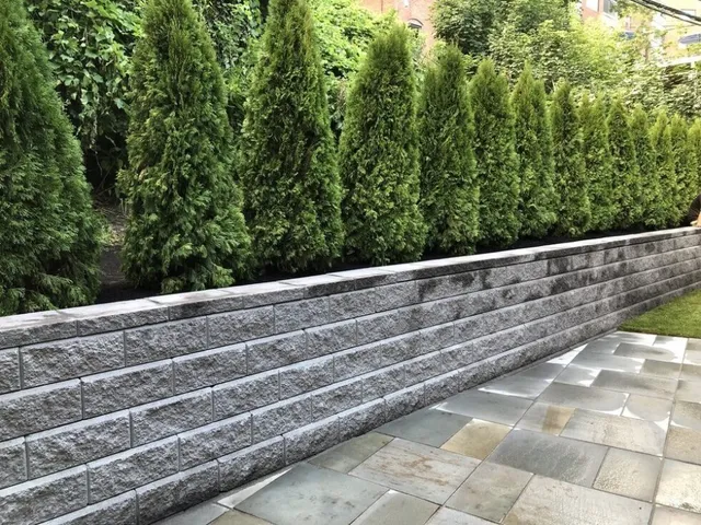 work photo from lawncareplusma.com