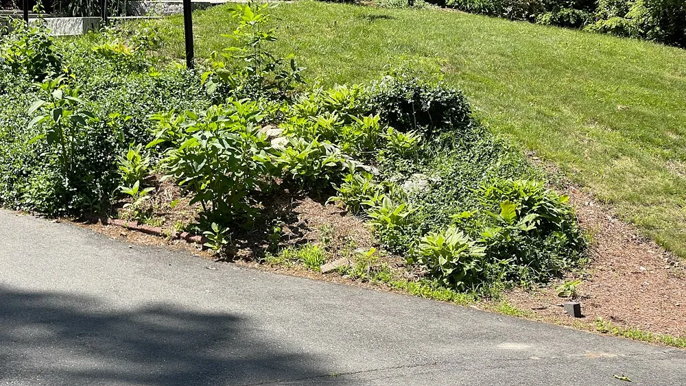 work photo from foxprolandscaping.com