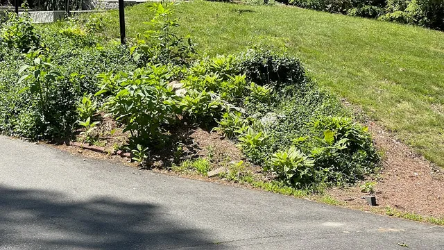 work photo from foxprolandscaping.com