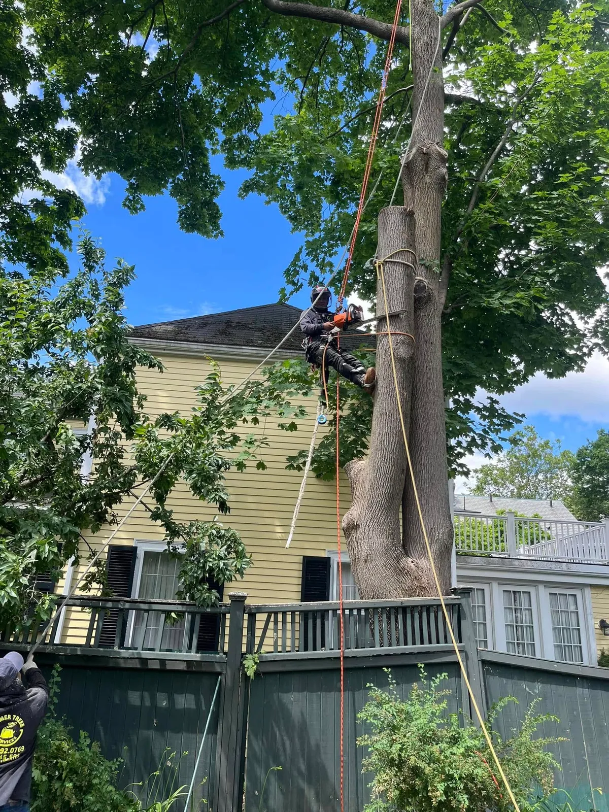work photo from Google listing