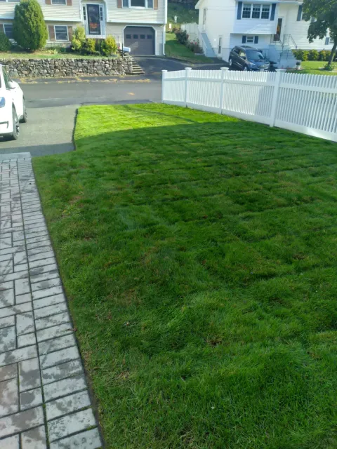 work photo from leonels-landscaping.com