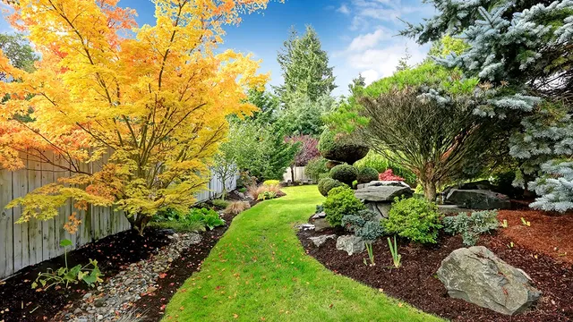 Lees Landscaping work photo