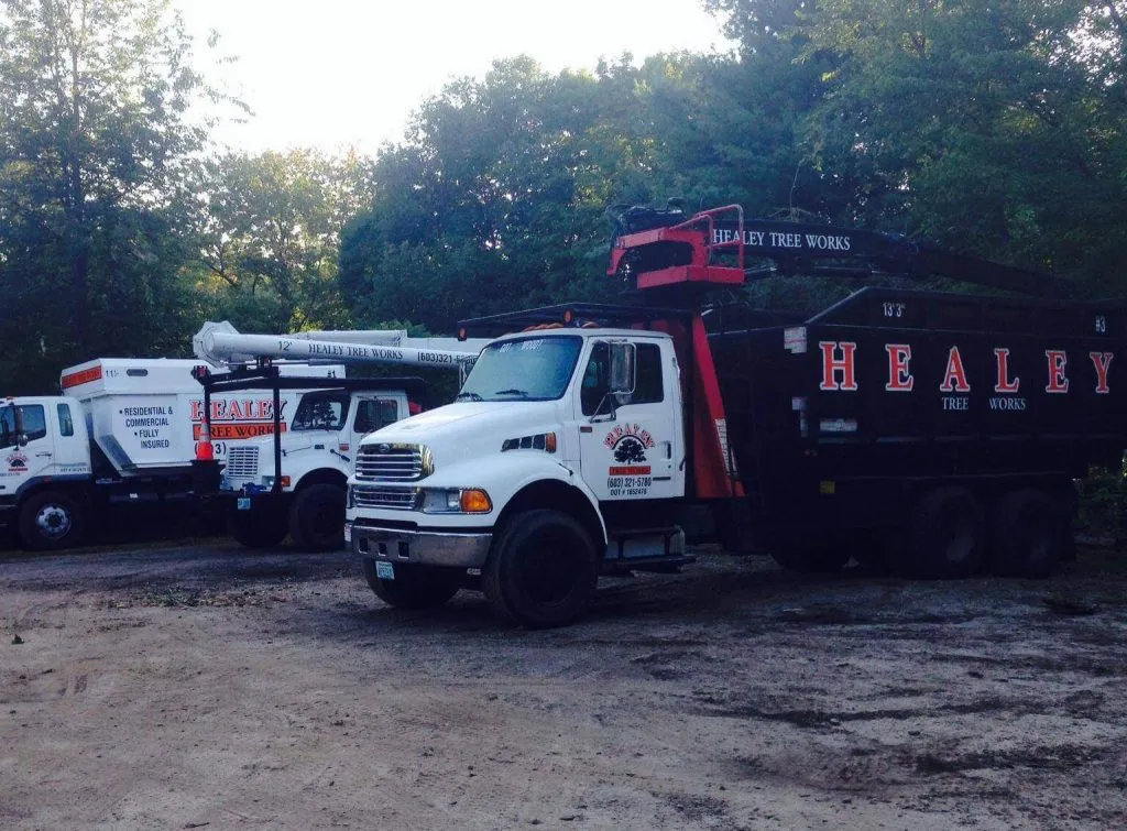 healey trucks