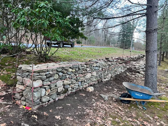 Tio George Land and Tree Service LLC work photo