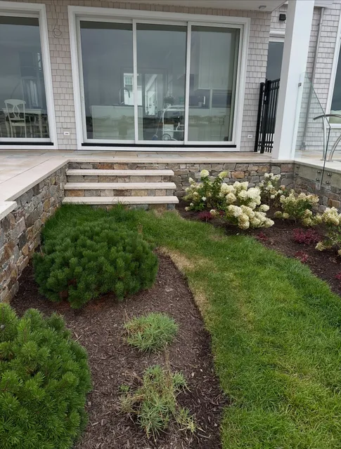 #backyarddreams