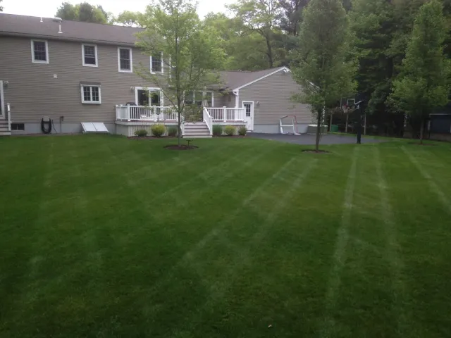 Shoveltown Landscaping researched project photo