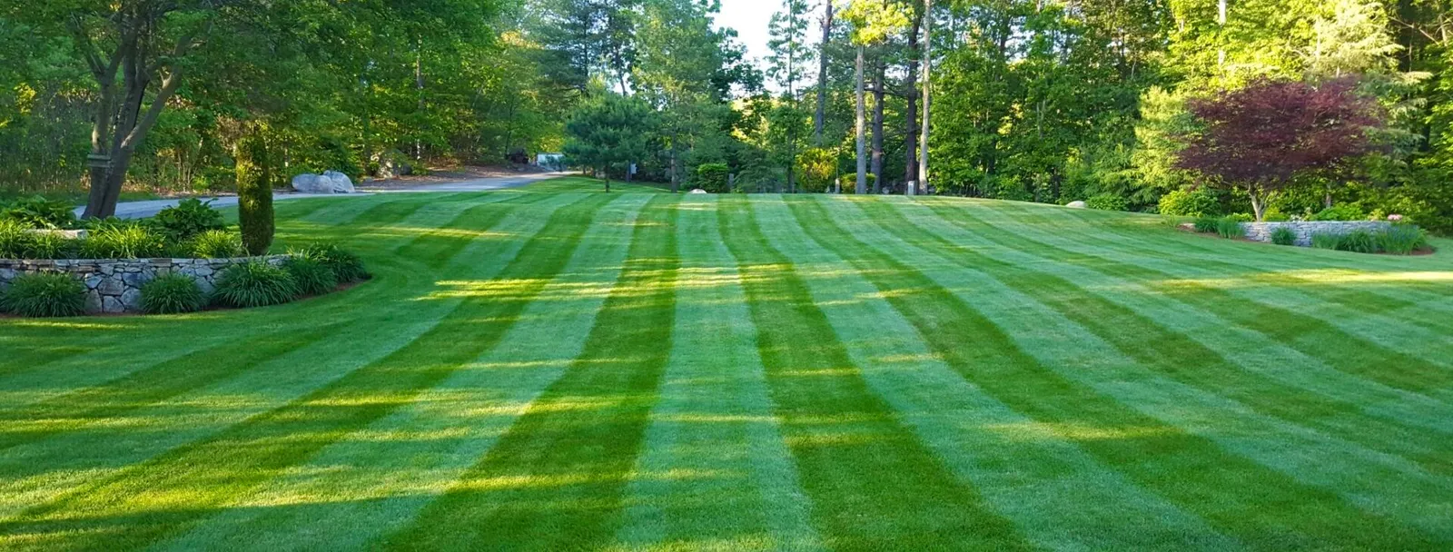 RESIDENTIAL LANDSCAPING