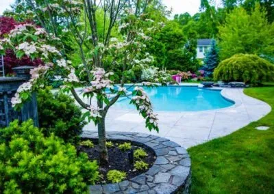 Backyard with a lush green lawn, blooming bushes, a clean patio, and a sparkling pool—expertly maintained by Jon Sneider Lawn Care & Tree Service