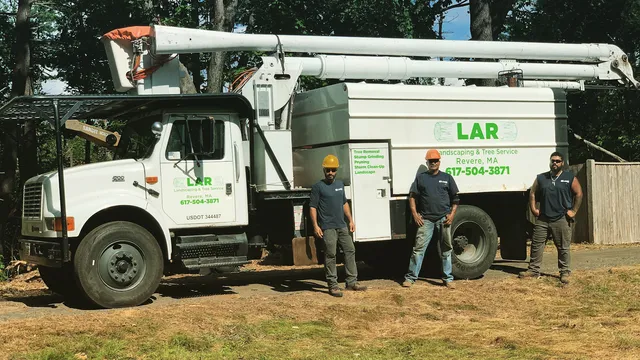 LAR landscaping and tree service, inc