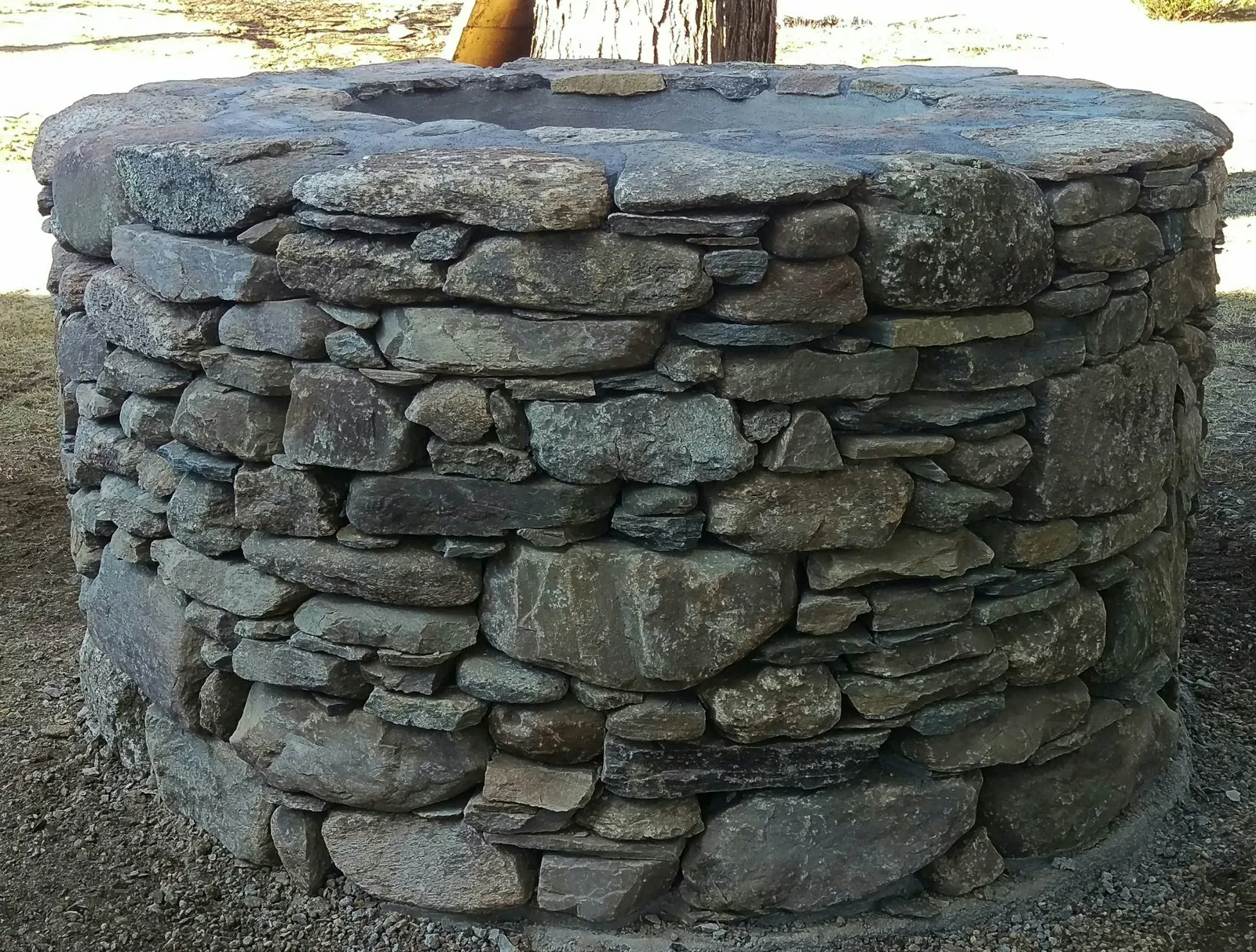 IMAG1359_1_1