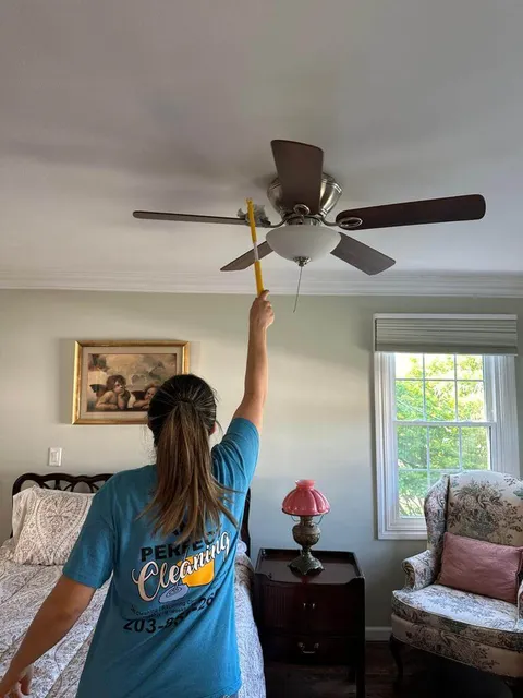 Ana Perfect Cleaning work photo