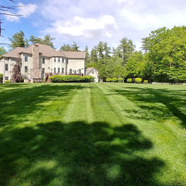 Gold Leaf Turf Solutions work photo