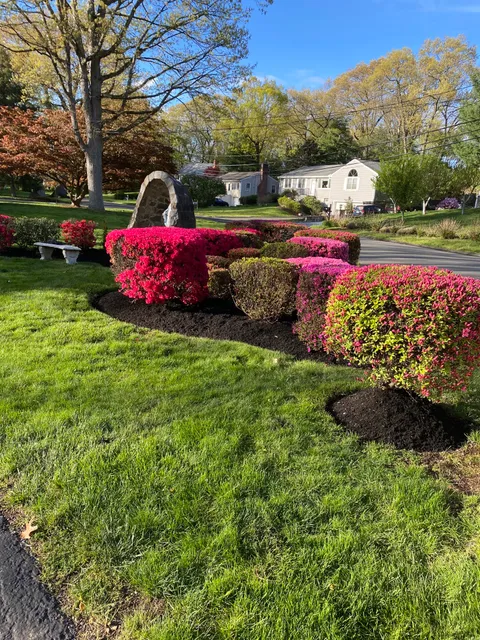 M.espinas landscaping work photo