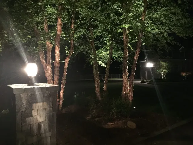 Lit stone path with trees and glowing lamps at night in a landscaped garden