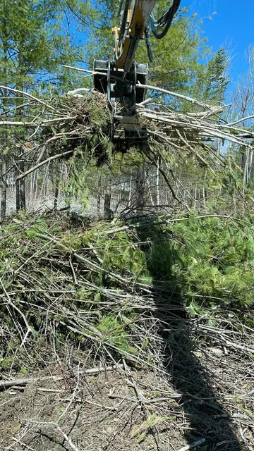Debris Removal