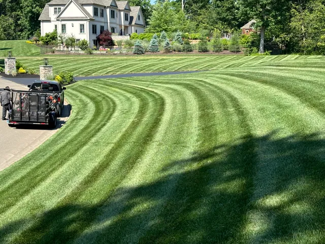 Arroyo's Landscaping work photo