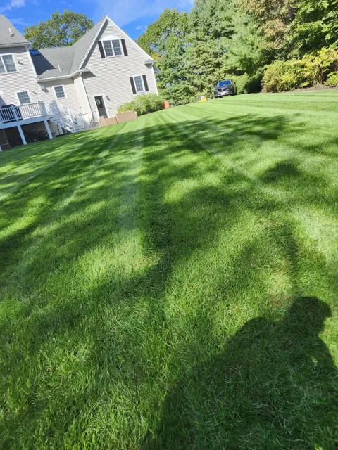 Freshly cut lawn beside a residential home in Massachusetts