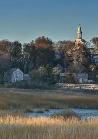 Tick free cape cod