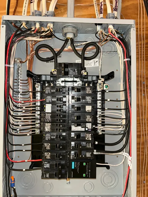Robert Schecter Electric work photo